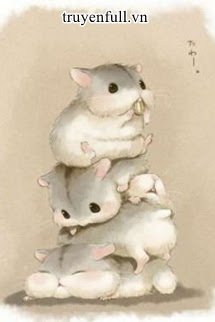 Hamster Nhỏ Nhà Thầy Giáo Tiêu