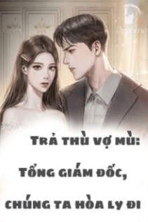 Trả Thù Vợ Mù: Tổng Giám Đốc, Chúng Ta Hòa Ly Đi